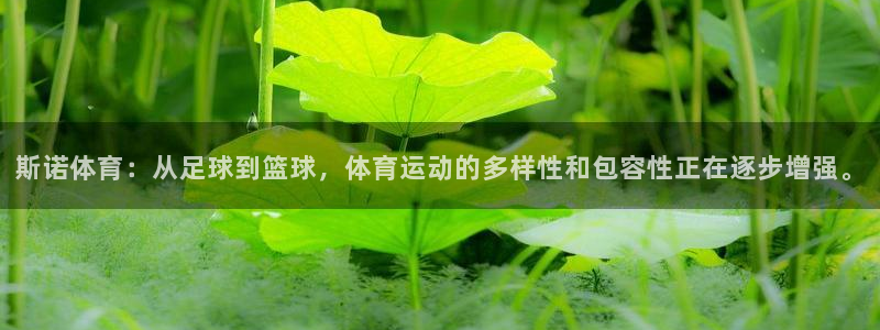 劲爆体育在线直播app：斯诺体育：从足球到篮球，体育运动的多样性和包容性正在逐步增强。