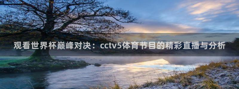 劲爆体育高清直播：观看世界杯巅峰对决：cctv5体育节目的精彩直播与分析