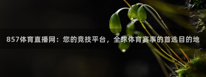 上海劲爆体育nba直播：857体育直播网：您的竞技平台，全球体育赛事的首选目的地