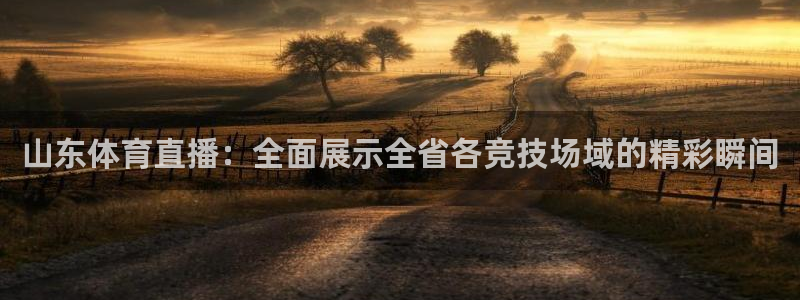 劲爆体育 直播：山东体育直播：全面展示全省各竞技场域的精彩瞬间
