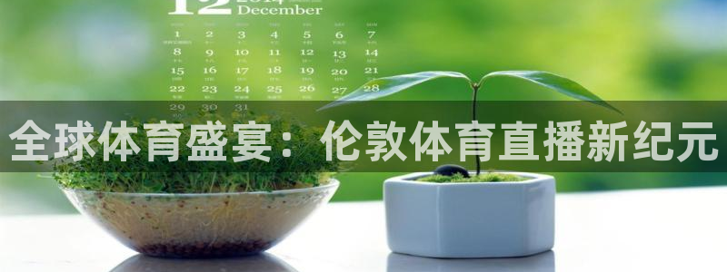 劲爆体育 直播：全球体育盛宴：伦敦体育直播新纪元