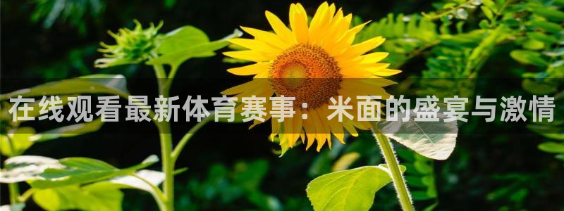 劲爆体育nba在线直播观看高清：在线观看最新体育赛事：米面的盛宴与激情
