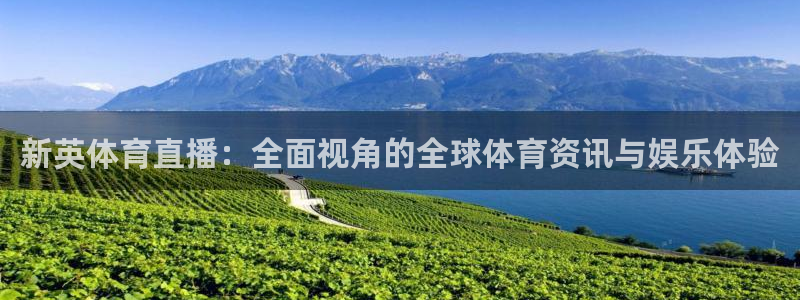 劲爆体育直播在线观看：新英体育直播：全面视角的全球体育资讯与娱乐体验