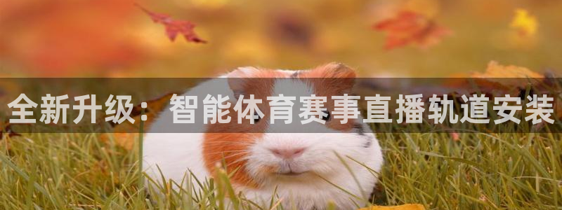 劲爆nba直播：全新升级：智能体育赛事直播轨道安装