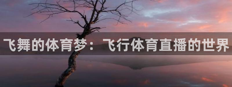 劲爆体育nba在线直播观看：飞舞的体育梦：飞行体育直播的世界
